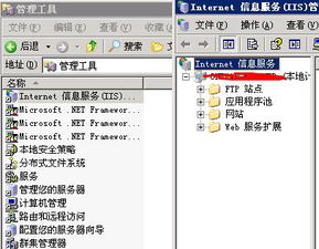 当 IIS 管理中“没有目录”显示，如何一步步排查和解决